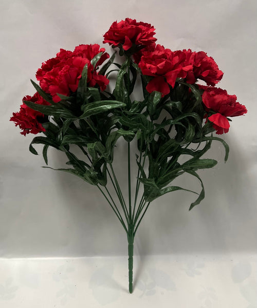 Carnation Bush -Red