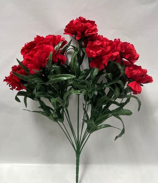 Carnation Bush -Red