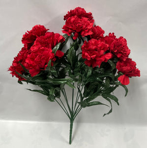 Carnation Bush -Red