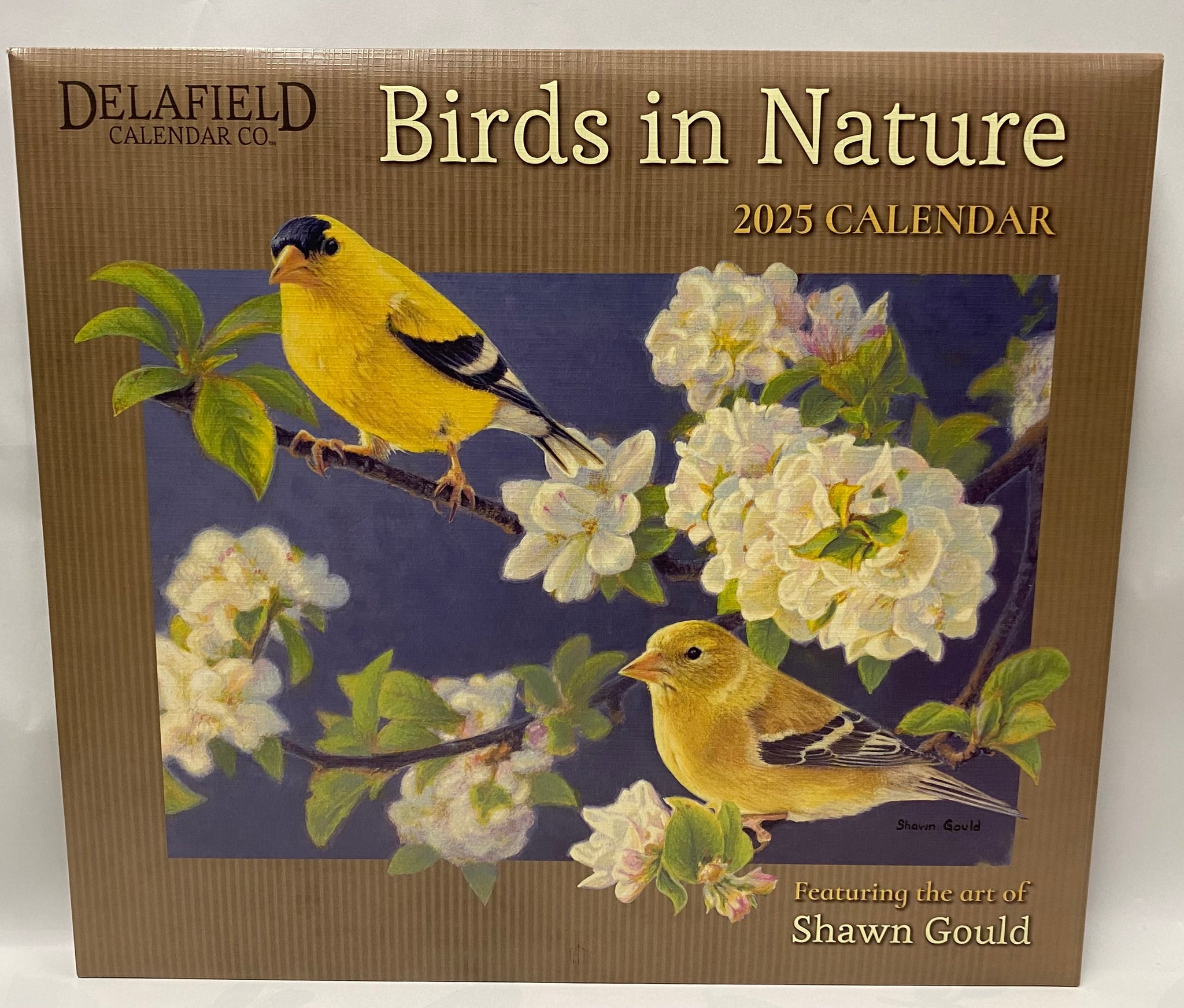 2025 Calendar -Birds In Nature