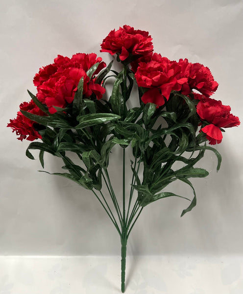 Carnation Bush -Red