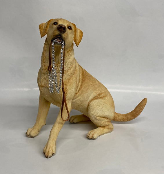 Golden Labrador-Sitting