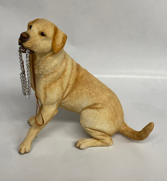 Golden Labrador-Sitting