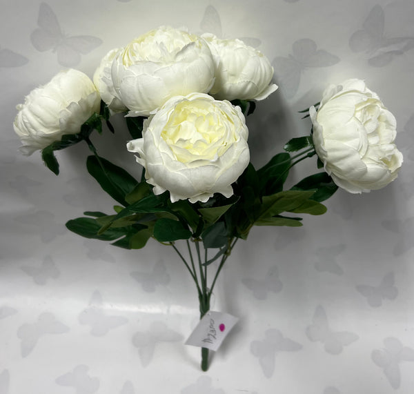 Peony Bush-Cream