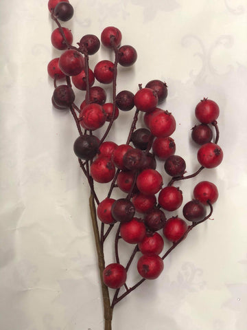 Red/ Burgundy berry pick